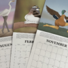 2024 CALENDAR OF EXTREMELY ACCURATE BIRDS